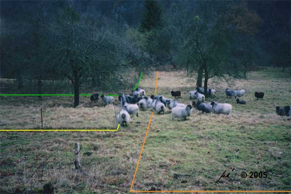 Darstellung zu den Bestimmungen der Rechtsverordnung
