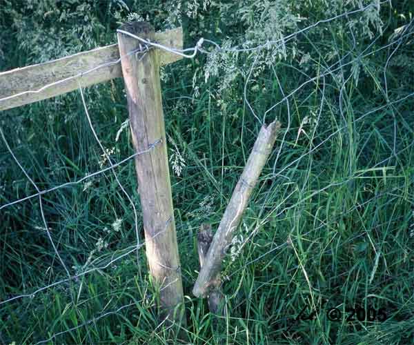 schmal und doch durchg�ngig?